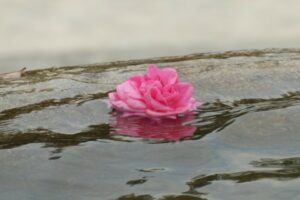 Read more about the article Understanding The Grief Of Losing Yourself