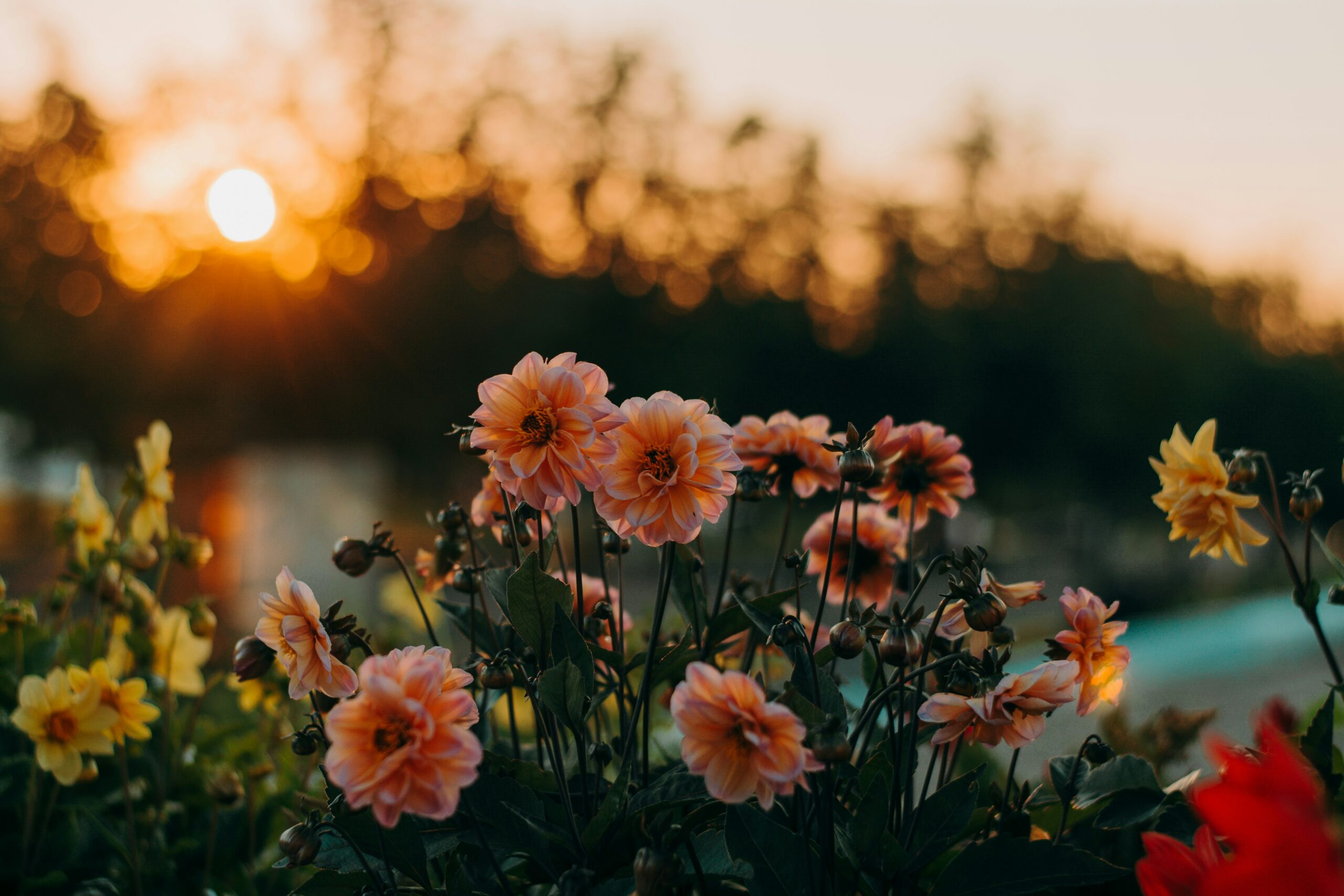 You are currently viewing How Grateful Are You, Really? (Reflecting On The Struggles)