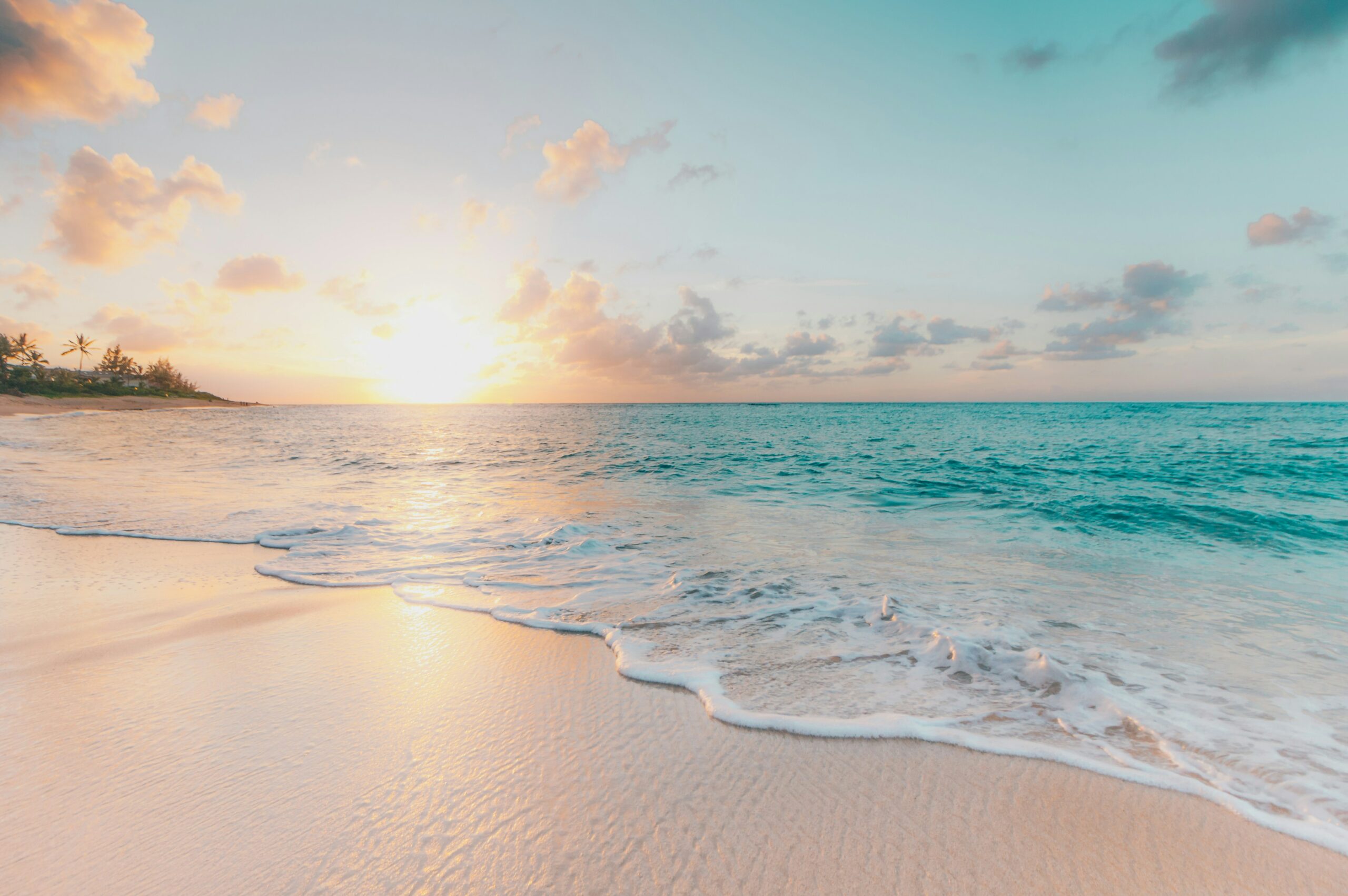 Read more about the article Cultivating A Life Of Gratitude
