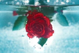 Read more about the article Life Is Not Fair… But It’s A Gift